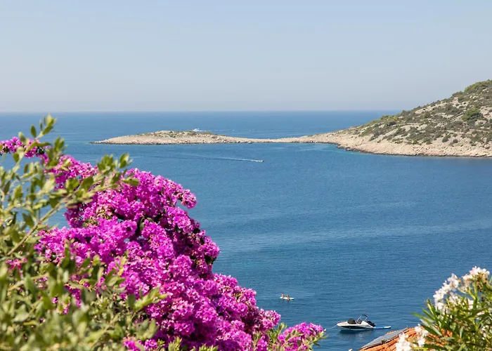 Daire Kadena Luxury Ražanj